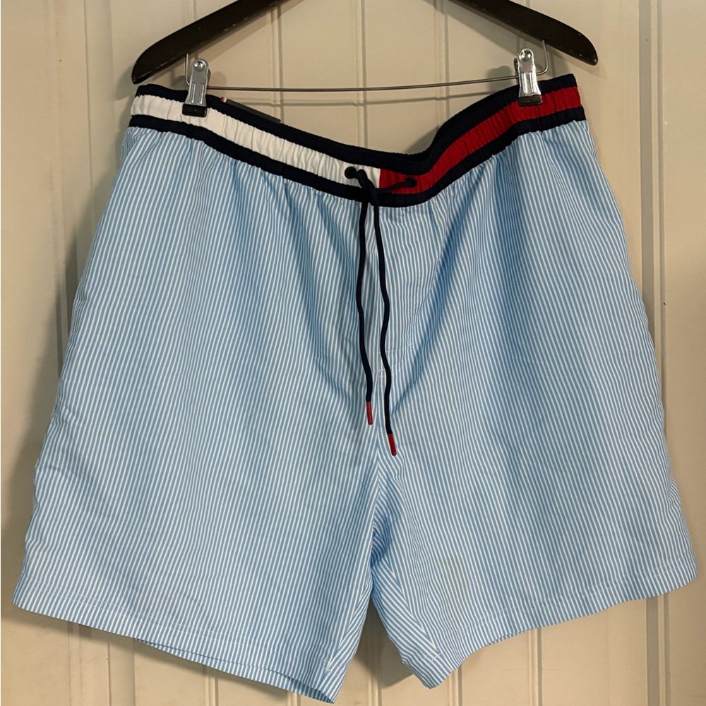Tommy Hilfiger Men's Ithaca Blue Striped Swim Shorts